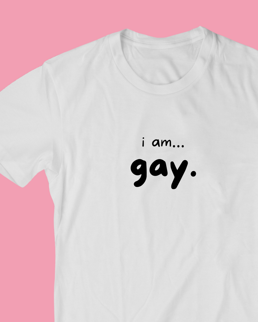 I am... Gay T-shirt